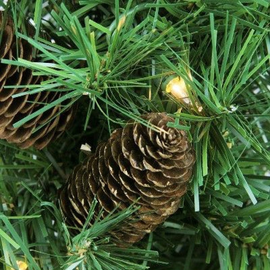 Pine * | Northlight 2 Pre-Lit Artificial Christmas Tree Full Dakota Pine Clear Dura Lights