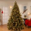 Pine * | National Tree Company 9 Ft. Carolina Pine Tree With Clear Lights