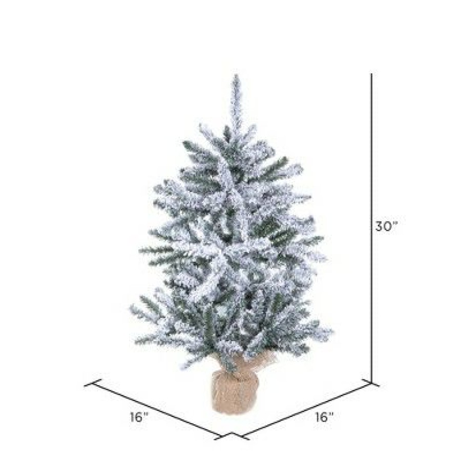 Unidentified Plant Variety * | Vickerman Flocked Anoka Pine Tabletop Artificial Christmas Tree