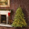 Fir Wood * | National Tree Company Pre-Lit 'Feel Real' Artificial Full Christmas Tree, Green, Frasier Grande, Dual Color Led Lights, Includes Stand, 6 Feet