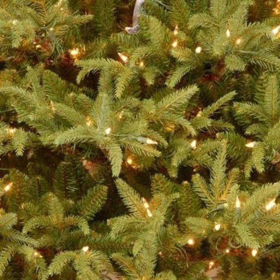 Fir Wood * | National Tree Company Pre-Lit 'Feel Real' Artificial Full Christmas Tree, Green, Frasier Grande, Dual Color Led Lights, Includes Stand, 6 Feet