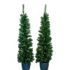 Unidentified Plant Variety * | Kurt S. Adler Kurt Adler 5 Pre-Lit Potted Tree Set (Set Of 2 Trees)