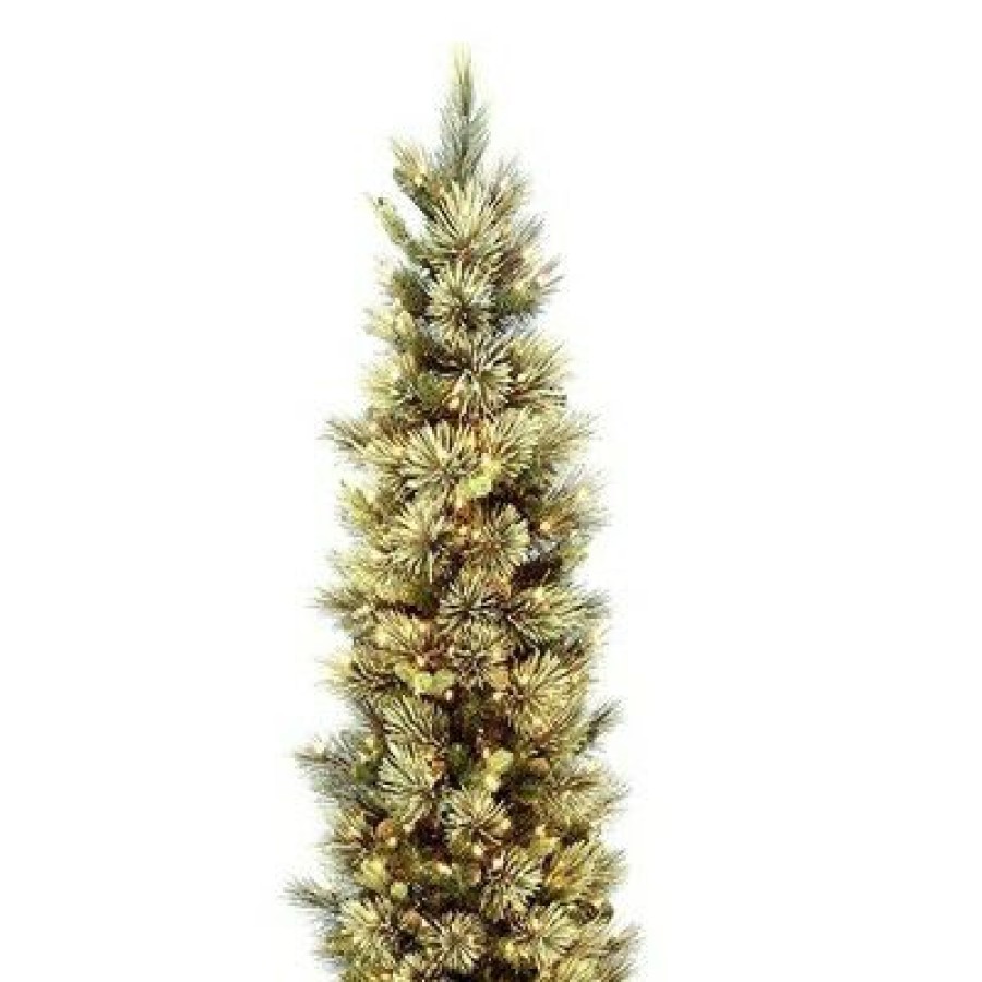 Unidentified Plant Variety * | National Tree Company Carolina Pencil Pine 12 Foot Artificial Holiday Prelit Tree With 1000 White Lights, Pinecones, 1900 Branch Tips And Stand