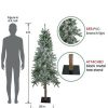 Pine * | Northlight 6Ft Flocked Alpine Artificial Christmas Tree Unlit