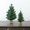 Pine * | Northlight 18 Mini Pine Medium Artificial Christmas Tree In Burlap Base, Unlit