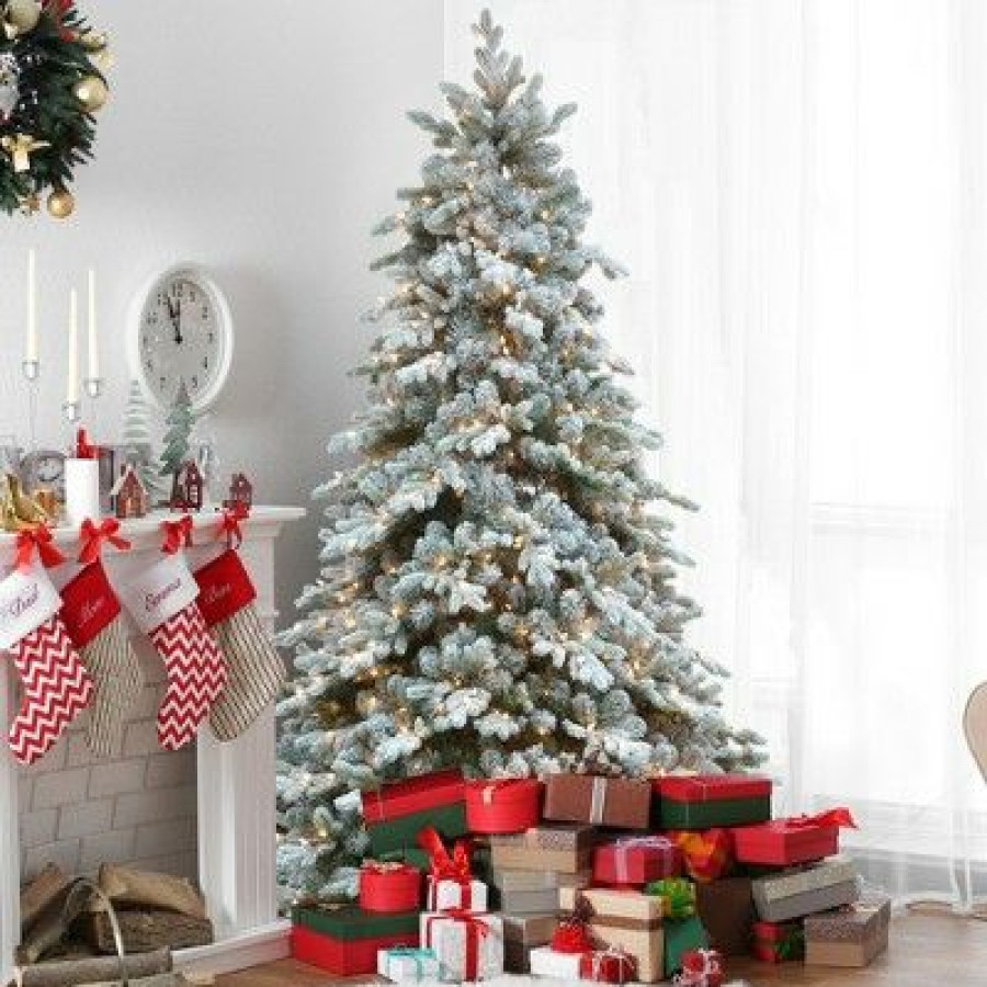 Spruce * | Northlight 6.5 Pre-Lit Flocked Saratoga Spruce Artificial Christmas Tree Clear Lights