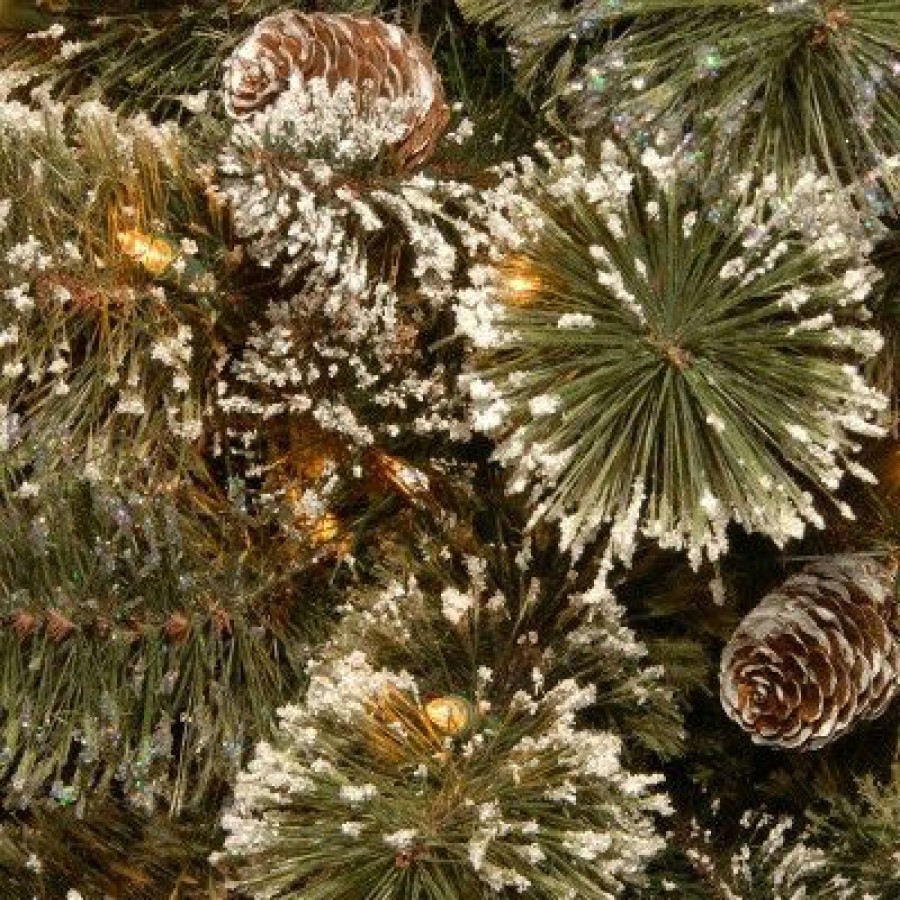 Unidentified Plant Variety * | National Tree Company 5Ft National Christmas Tree Company Glittery Bristle Artificial Christmas Tree 150Ct Warm White Led