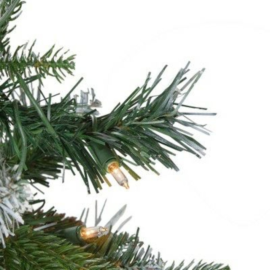 Pine * | Northlight 7Ft Pre-Lit Frosted Mixed Berry Pine Artificial Christmas Tree Clear Lights