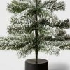 Unidentified Plant Variety * | 24" Unlit Flocked Indexed Artificial Christmas Tree Wondershop