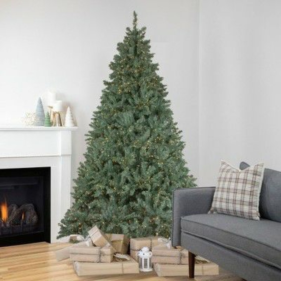 Spruce * | Northlight 7.5 Pre-Lit Full Newport Spruce Artificial Christmas Tree, Led Lights