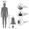 Pine * | Northlight 3 Pre-Lit Flocked Alpine Artificial Christmas Tree Clear Lights