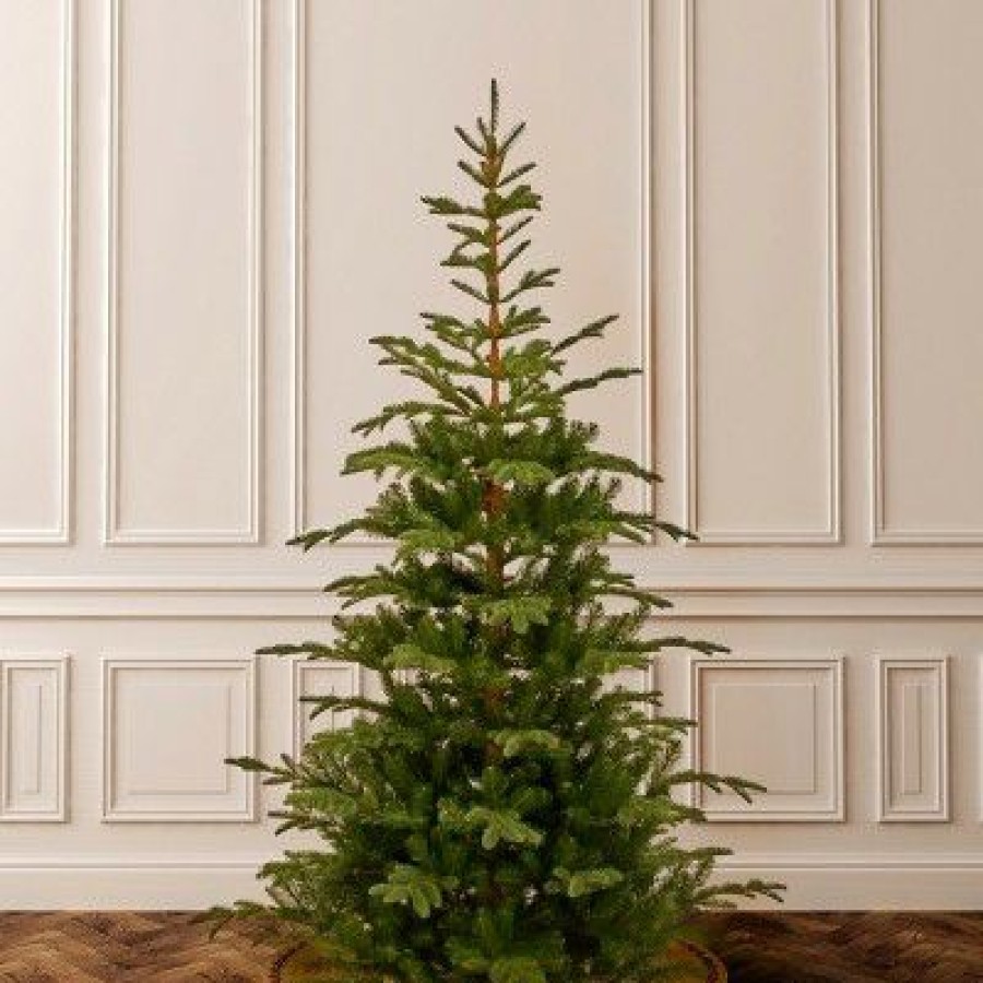 Spruce * | National Tree Company 7.5 Ft. Norwegian Spruce Tree