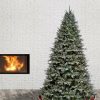 Fir Wood * | National Tree Company 7.5 Ft. Snowy Stonington Fir Tree With Dual Color Led Lights