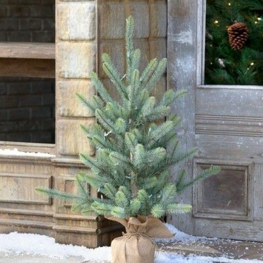 Spruce * | Park Hill Collection 36 Burlap Wrapped Blue Spruce Seedling With Led Battery Lights