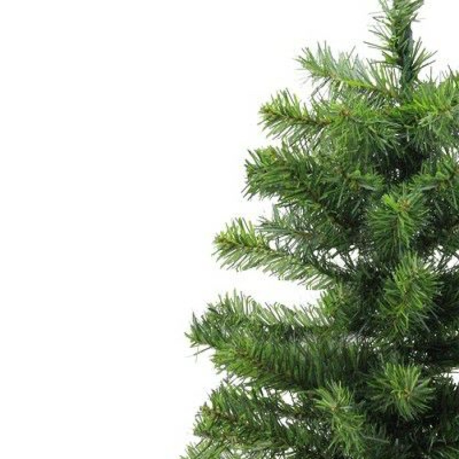 Pine * | Northlight 2 Medium Canadian Pine Artificial Christmas Tree Unlit