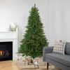 Fir Wood * | Northlight 7.5 Pre-Lit Full Riverton Fir Artificial Christmas Tree, Warm White Lights