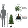 Pine * | Northlight 4 Alpine Artificial Christmas Tree Unlit