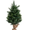 Pine * | Costway 24"Pre-Lit Tabletop Fir Christmas Tree 35 Led Lights Timer