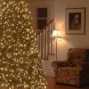 Fir Wood * | National Tree Company 6.5 Ft. Jersey Fraser Fir Medium Tree With Dual Color Led Lights