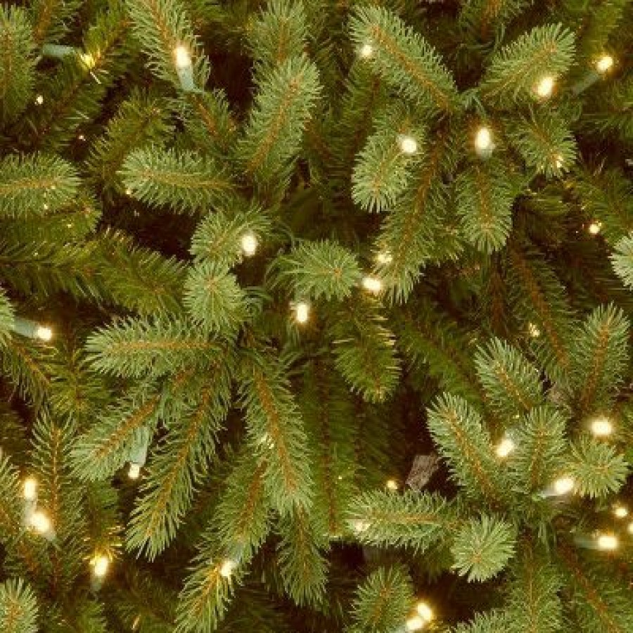 Fir Wood * | National Tree Company 6.5 Ft. Jersey Fraser Fir Medium Tree With Dual Color Led Lights