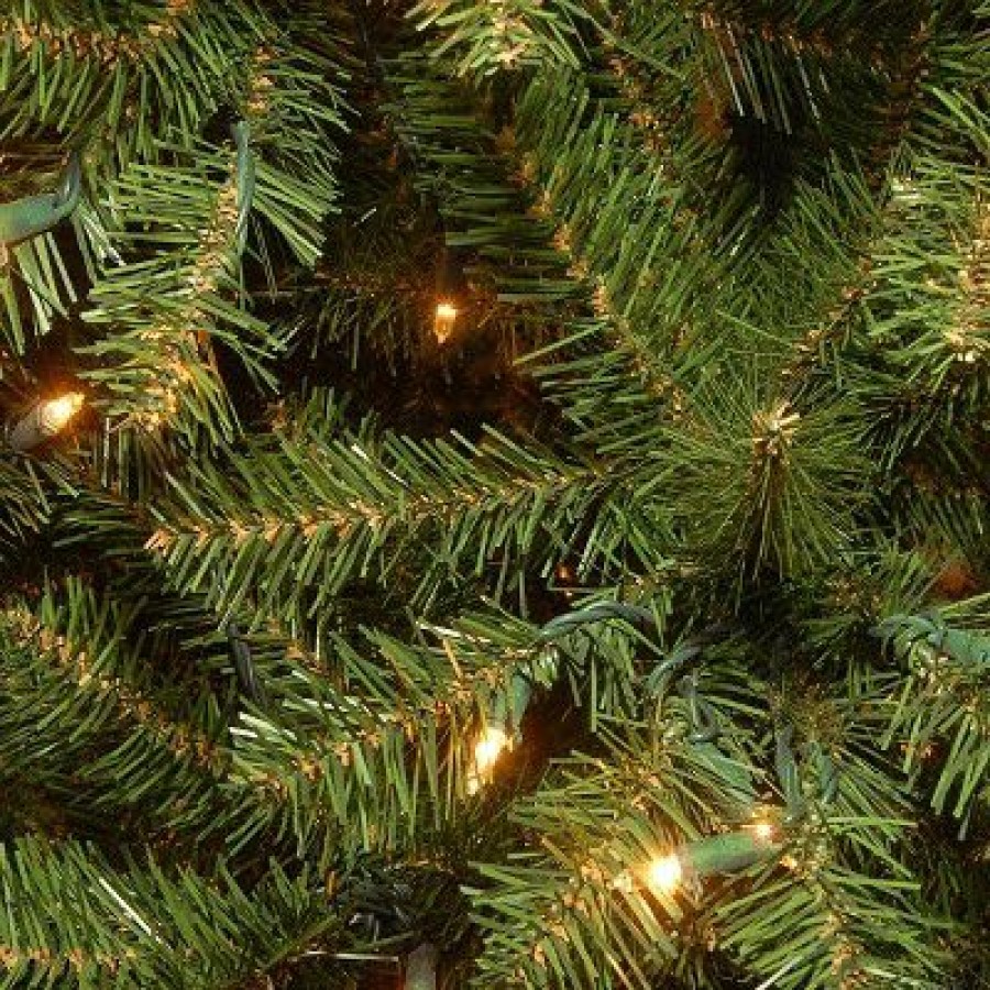 Spruce * | National Tree Company Pre-Lit Artificial Slim Christmas Tree, Green, Aspen Spruce, White Lights, Includes Stand, 7.5 Feet