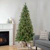 Pine * | Northlight 9.5 Pre-Lit Full Kingston Cashmere Pine Artificial Christmas Tree, Clear Lights