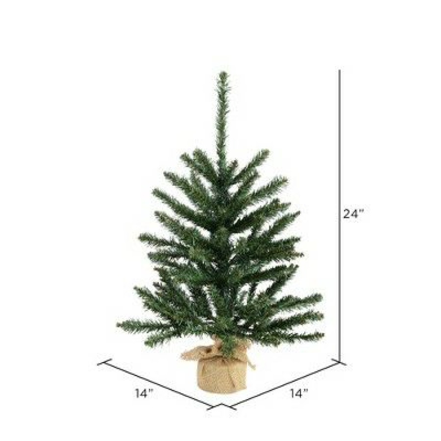 Unidentified Plant Variety * | Vickerman Anoka Pine Artificial Christmas Tabletop Tree