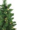 Pine * | Northlight Set Of 2 Pre-Lit Whitmire Pine Potted Artificial Christmas Trees 4 Clear Lights