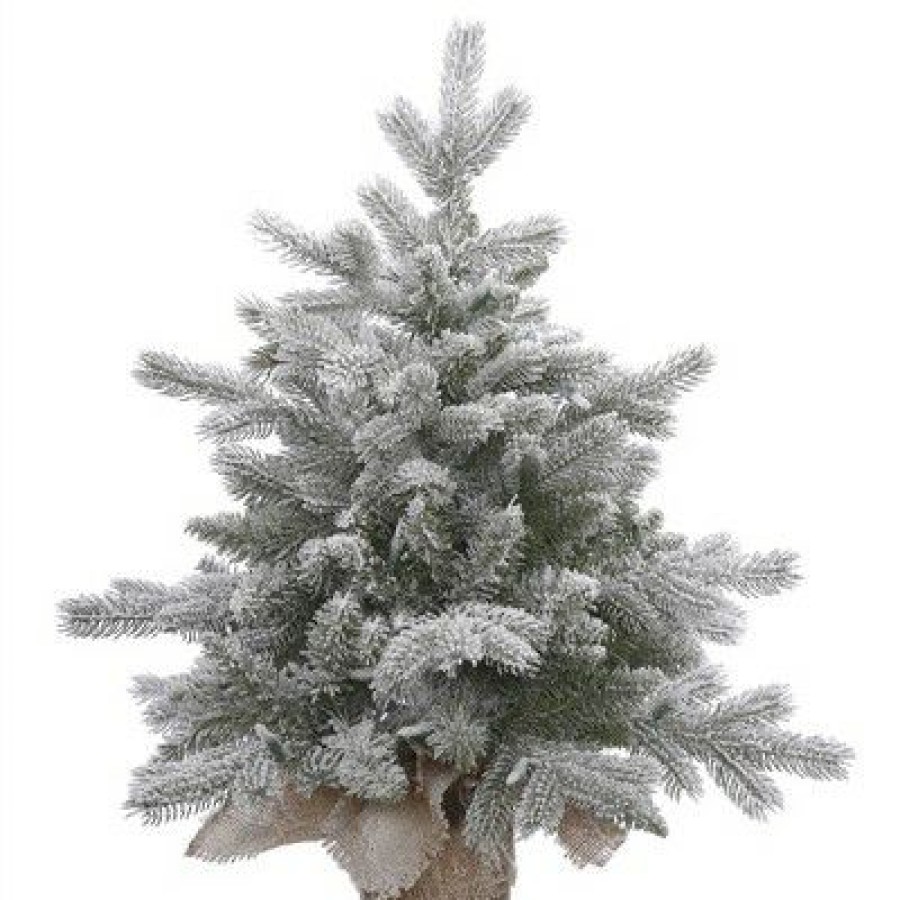 Unidentified Plant Variety * | Vickerman Frosted Sable Pine Artificial Christmas Tabletop Tree