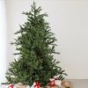 Noble Fir * | Northlight 7.5 Prelit Artificial Christmas Tree Led Oregon Noble Fir- Warm White Lights