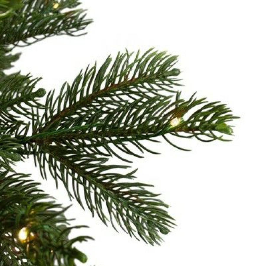 Noble Fir * | Northlight 7.5 Prelit Artificial Christmas Tree Led Oregon Noble Fir- Warm White Lights