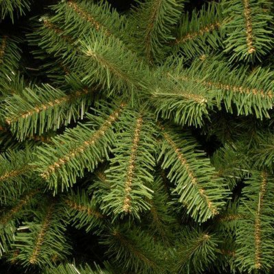 Spruce * | National Tree Company Unlit Full North Valley Spruce Hinged Artificial Christmas Tree