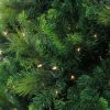 Pine * | Northlight 7.5 Prelit Artificial Christmas Tree Sequoia Mixed Pine Clear Lights