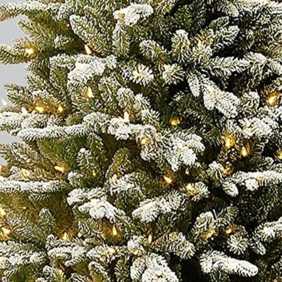 Spruce * | National Tree Company Feel Real Snowy Sierra Spruce 7.5 Ft Prelit Flocked Slim Artificial Christmas Tree, 750 White Lights, Metal Base, Easy Assembly