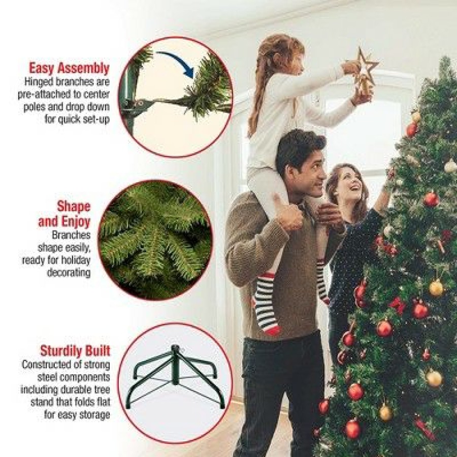 Fir Wood * | National Tree Company Northern Frasier Fir 7-Foot Unlit Slim Artificial Christmas Tree With Stand, Lifelike Branch Tips, And Easy Assembly, Green