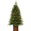 Noble Fir * | Haute Decor Haute Decor 4.5' Pre-Lit Led Potted Noble Fir Artificial Christmas Tree White Lights