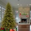 Fir Wood * | National Tree Company 7.7 Ft. Monterey Fir Tree With Clear Lights