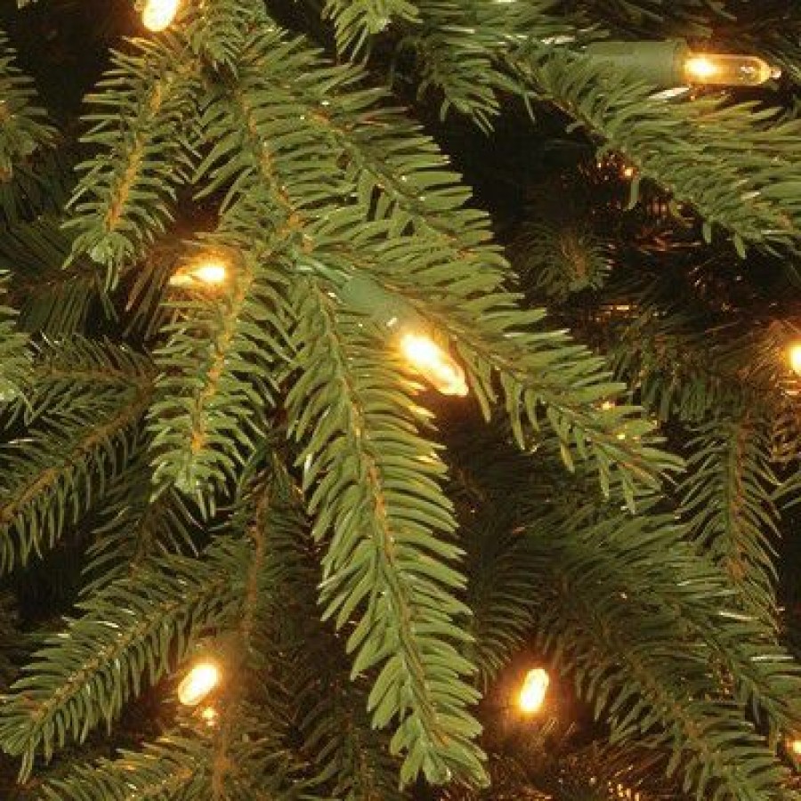 Fir Wood * | National Tree Company 7.7 Ft. Monterey Fir Tree With Clear Lights