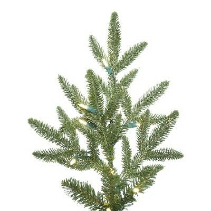 Unidentified Plant Variety * | Vickerman Deluxe Frasier Fir Artificial Christmas Tree Warm White