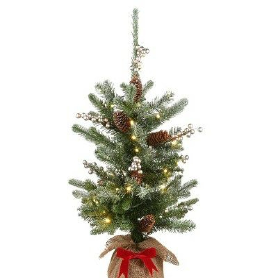 Spruce * | 2Ft National Tree Company Led Snowy Morgan Spruce Tree With Battery Operated Lights