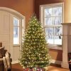 Fir Wood * | Puleo 6.5' Pre-Lit Canadian Balsam Fir Artificial Christmas Tree Warm White Lights