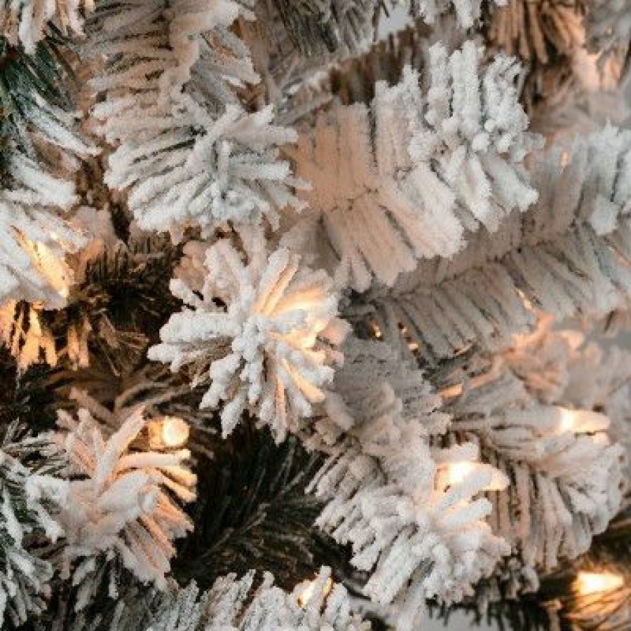 Pine * | National Tree Company Pre-Lit Flocked Acacia Artificial Christmas Tree Clear Lights