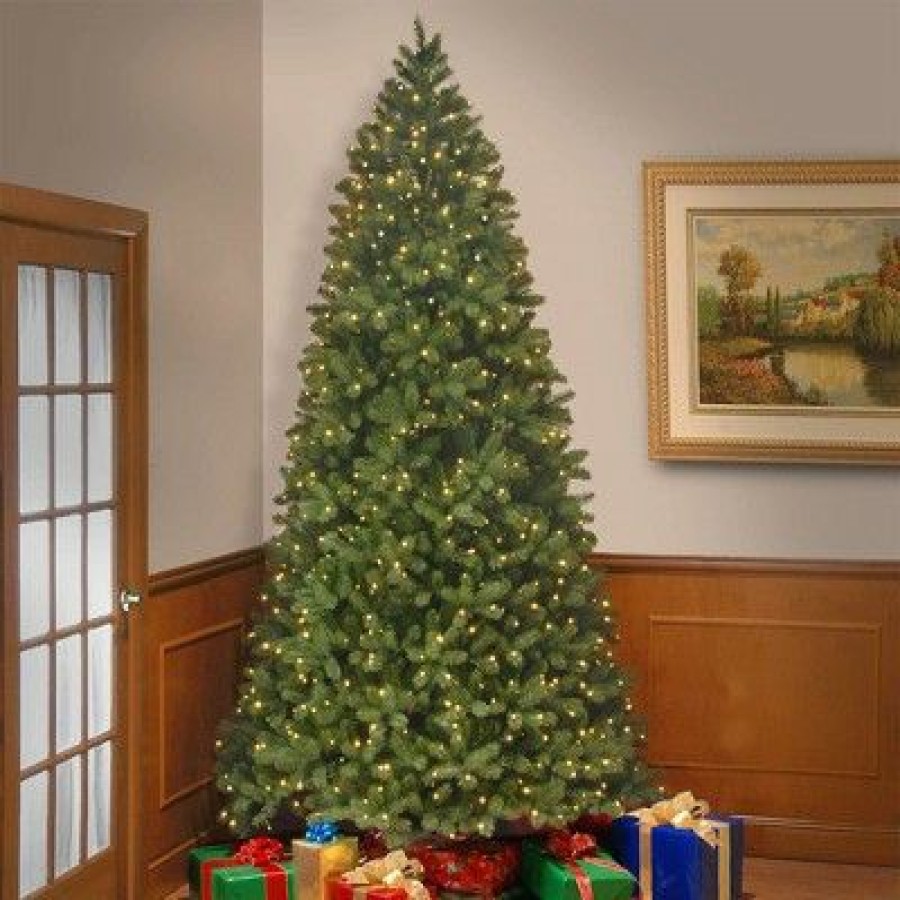 Spruce * | National Tree Company Bayberry Spruce 9 Foot Prelit Artificial Christmas Holiday Tree With White And Multicolor Led Lights, Easy Assembly, Metal Stand