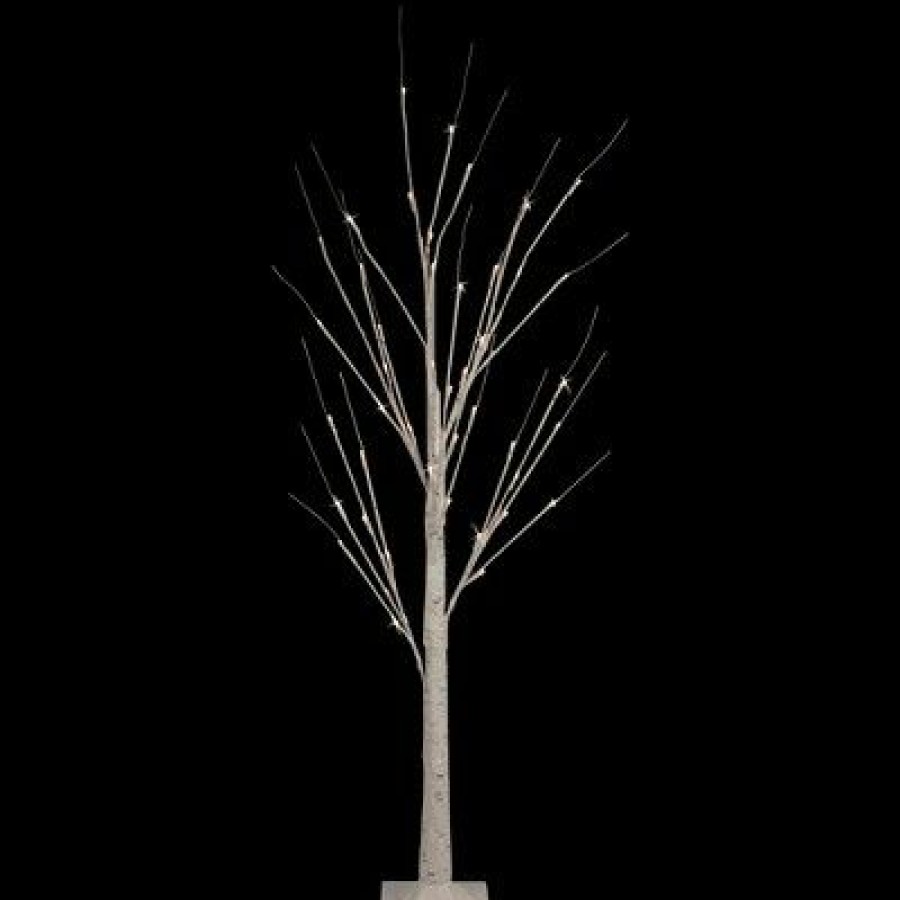 Pine * | Northlight 4 Led Lighted White Birch Christmas Twig Tree Warm White Lights