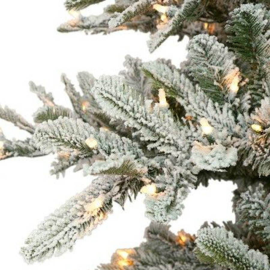 Douglas Fir * | 3Ft Puleo Pre-Lit Flocked Fraser Fir Artificial Christmas Tree Clear Lights