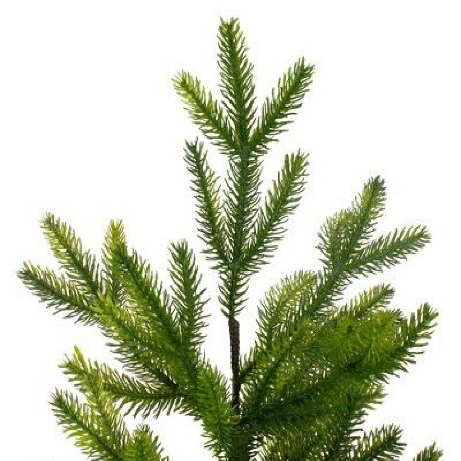 Pine * | Northlight 2 Potted Pine Medium Artificial Christmas Tree Unlit