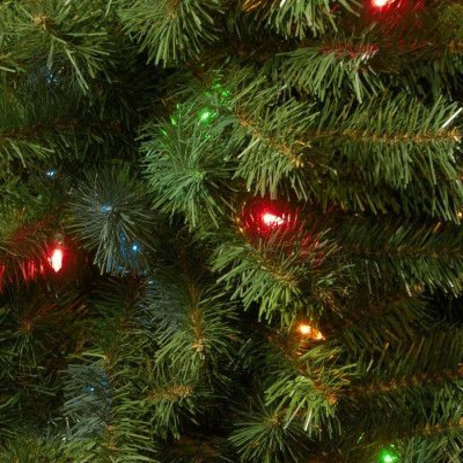 Spruce * | National Tree Company Pre-Lit Artificial Mini Christmas Tree, Green, Kincaid Spruce, Multicolor Lights, Includes Stand, 3 Feet