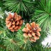 Pine * | Northlight 23.5 Mixed Pine And Pine Cones Artificial Christmas Tree In Jute Base