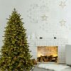 Fir Wood * | National Tree Company 9 Ft. Powerconnect(Tm) Princeton Deluxe Fraser Fir With Dual Color Led Lights