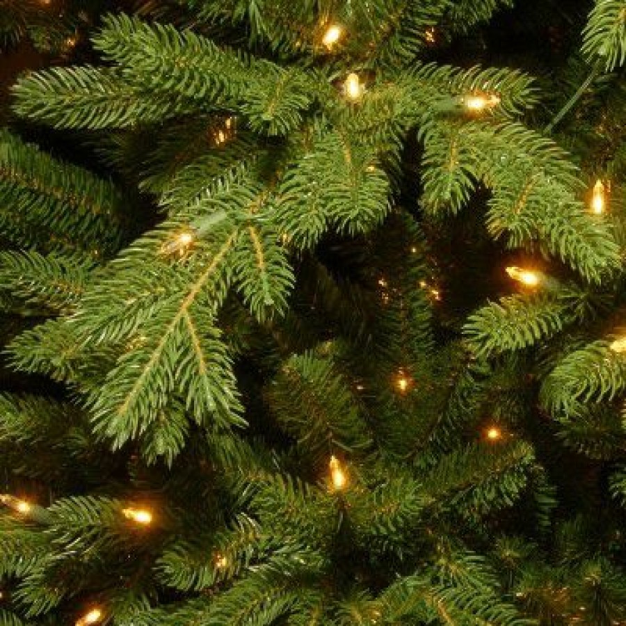 Fir Wood * | National Tree Company 9 Ft. Powerconnect(Tm) Princeton Deluxe Fraser Fir With Dual Color Led Lights